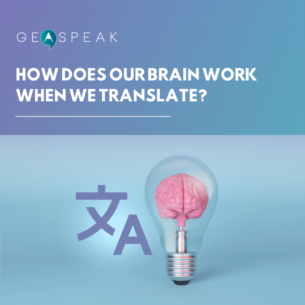 HOW DOES OUR BRAIN WORK WHEN WE TRANSLATE?