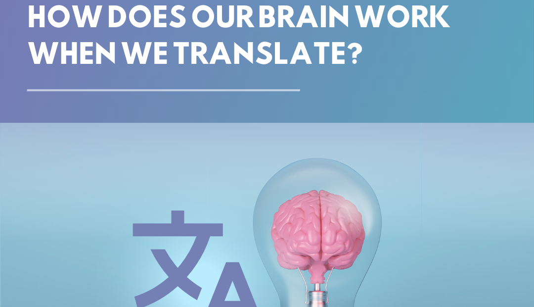 HOW DOES OUR BRAIN WORK WHEN WE TRANSLATE