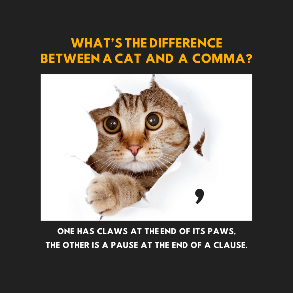 What's the difference between a cat and a comma?
One has clas at the end of its paws, the other is a pause at the end of a clause.